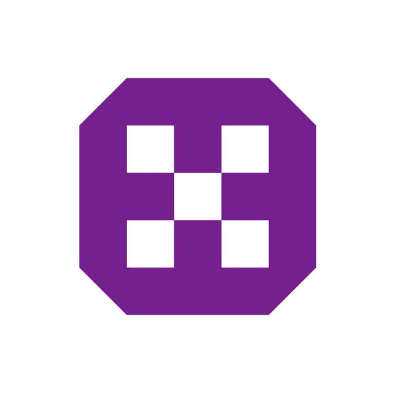 Torrent Electricals Ltd